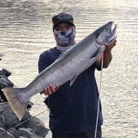guttyfishingart
