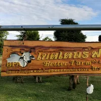 original sound - better_farm