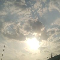 santx_49
