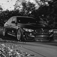 f80.gibbs
