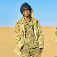 الصوت الأصلي