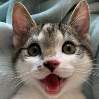 เสียงต้นฉบับ - SINGTO music