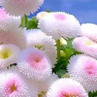 original sound - sayle.store3