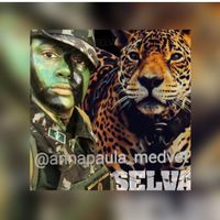 annapaula_pantheraonca