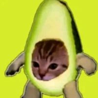 alejandro_ptfx_potaxie