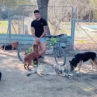 original sound - asalvajadogs