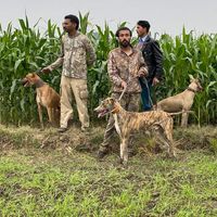 saadrajahuntingclub