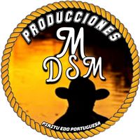 producciones_ds