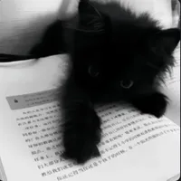 original sound - xhyprxnn