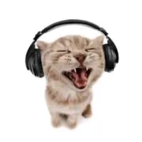 original sound - dtx_music