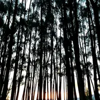 original sound - alberdi_eg