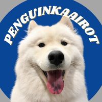 original sound - Penguinkaairot