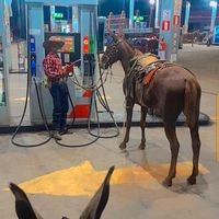 wesleyrodrigues98180