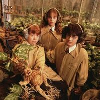 weasleylupin