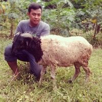 suara asli - Sholihin Ilham