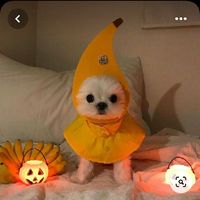 jadeelizabethaguilarram0