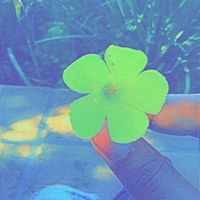 aesthetic_trends05