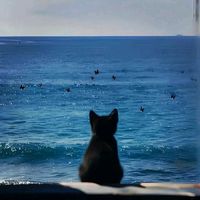 original sound - Elsa_TD