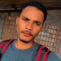 wellingtonsanto508