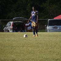 d3marco_6