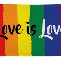 lgbtisv0