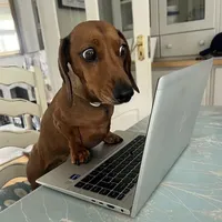 original sound - editsmoon.__