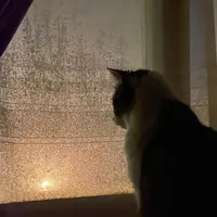 original sound - kai1726