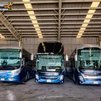 original sound - dyrmmj2or83m