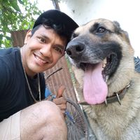 ama.a.los.animale1