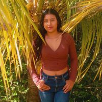 pamela.13.504