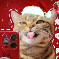 lucia.lopez5380