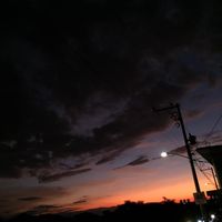 davidz096