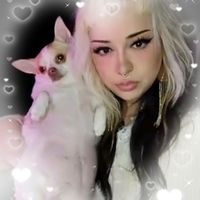 plumpy_the_chihuahua