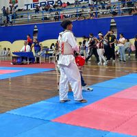 wuilian_diaz_tkd
