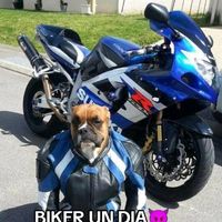 yoberelazo05