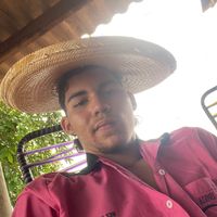 alerrandrozin_du_boi