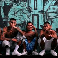 .eduardo_xv3