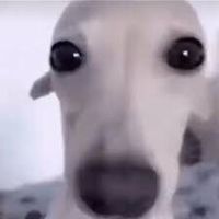 Ok Is that your business