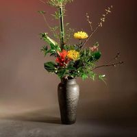 original sound - sghskocc