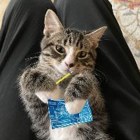 original sound - B24ST