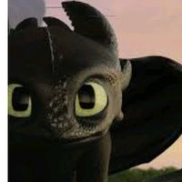 dragon.fan04
