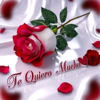 naly271224