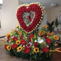 mariacastillo38622
