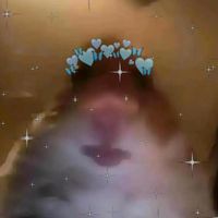 luigiaaragundi00