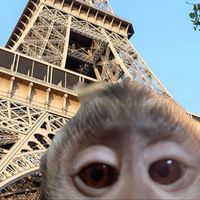 оригинальный звук