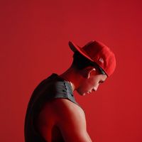 Rooster by Barragini