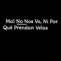 dylan_12mt