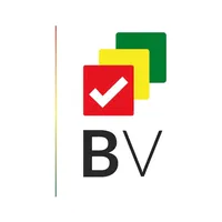 original sound - boliviaverifica