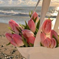 suara asli - راضيةالمفتاح