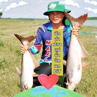 เสียงต้นฉบับ - นกDIY